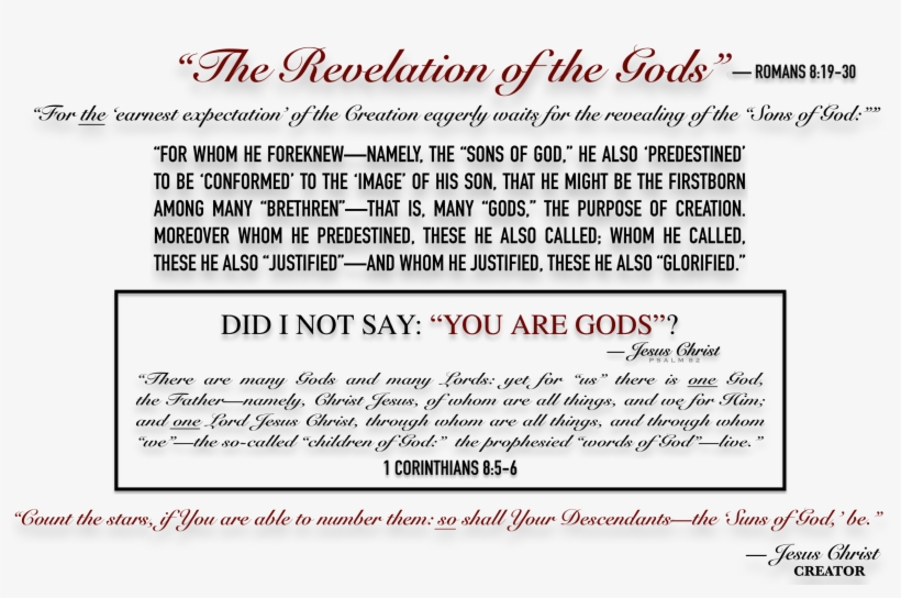 The Revelation Of The Gods - Revolution In The Garden: Memoirs Of The Gardenkeeper, transparent png download