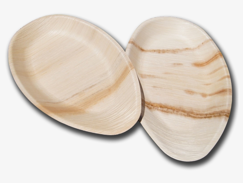 Biodegradable Oval Plates - Macoma, transparent png download