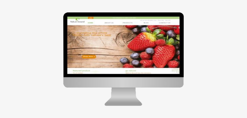 Complete Web Solutions - Bioactive Phytochemicals: Perspectives For Modern Medicine, transparent png download