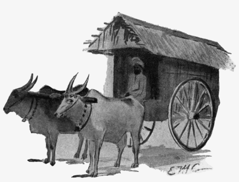 Ox Drawn Covered Wagon - Encyclopedia Of Needlework, transparent png download