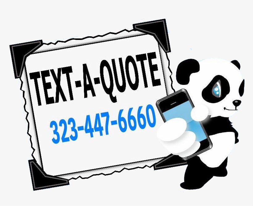 Window-shopping - Panda Bonito E Telemóvel Camiseta, transparent png download