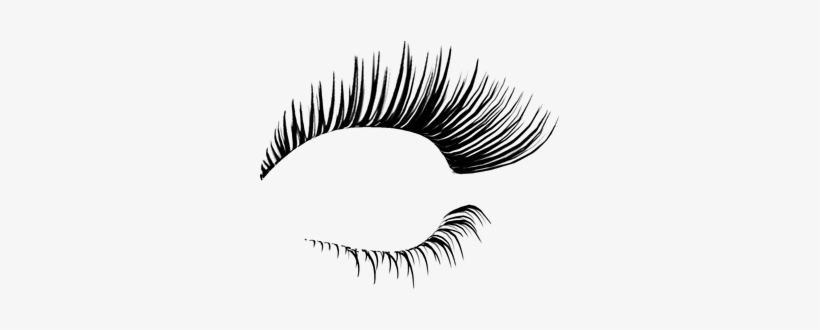 Cílio Preto Direito Em Formato Png - Eyelashes Png, transparent png download