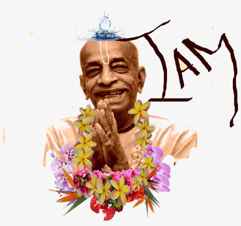 An Error Occurred - Bouquet, transparent png download