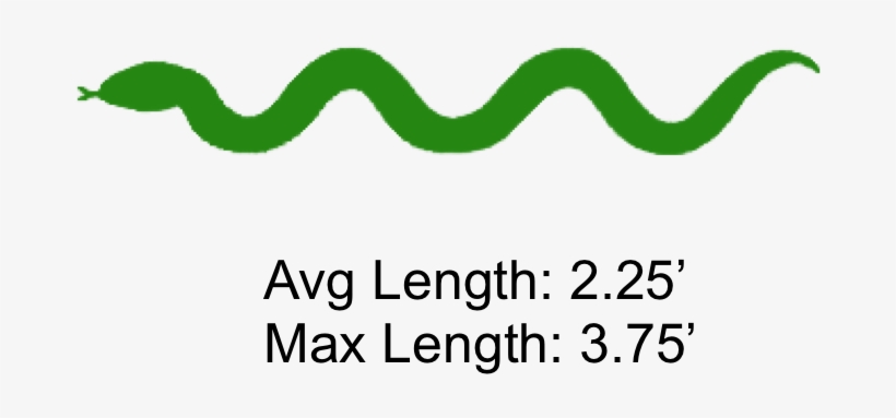 The Shaded Region Represents The Range Of The Rough - Happi Coat, 27-inch Width, 47-inch Length, 100% Polyester, transparent png download