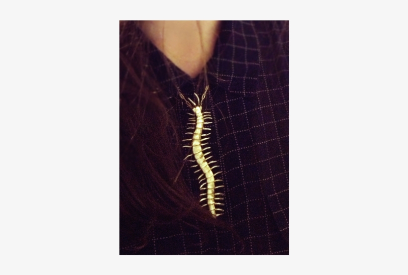 Tyramin Centipede Necklace, transparent png download
