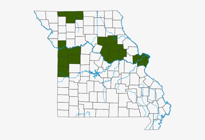 Smooth Greensnake Dist Map - St Francis River Missouri Map, transparent png download