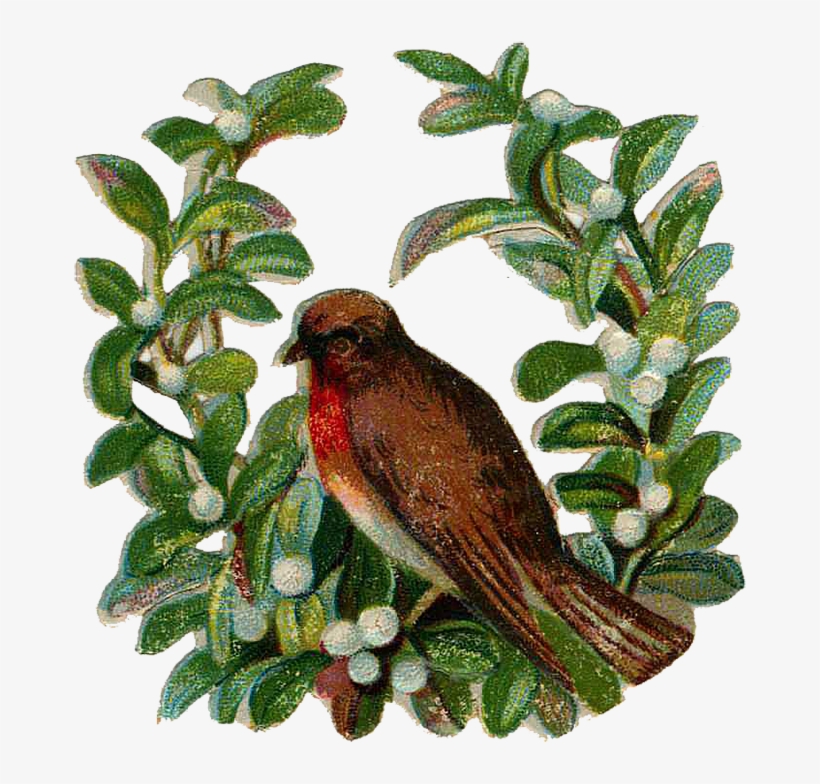 Http - //grafficalmuse - - Christmas Day, transparent png download