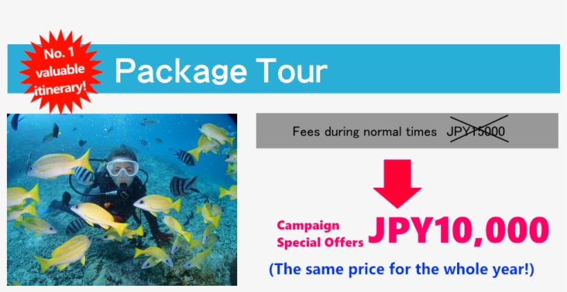 Content：the Relaxed Snorkeling Will Take You To A Visit - Coral Reef Fish, transparent png download