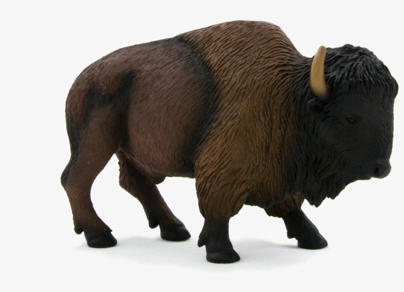 American Bison / Buffalo, transparent png download