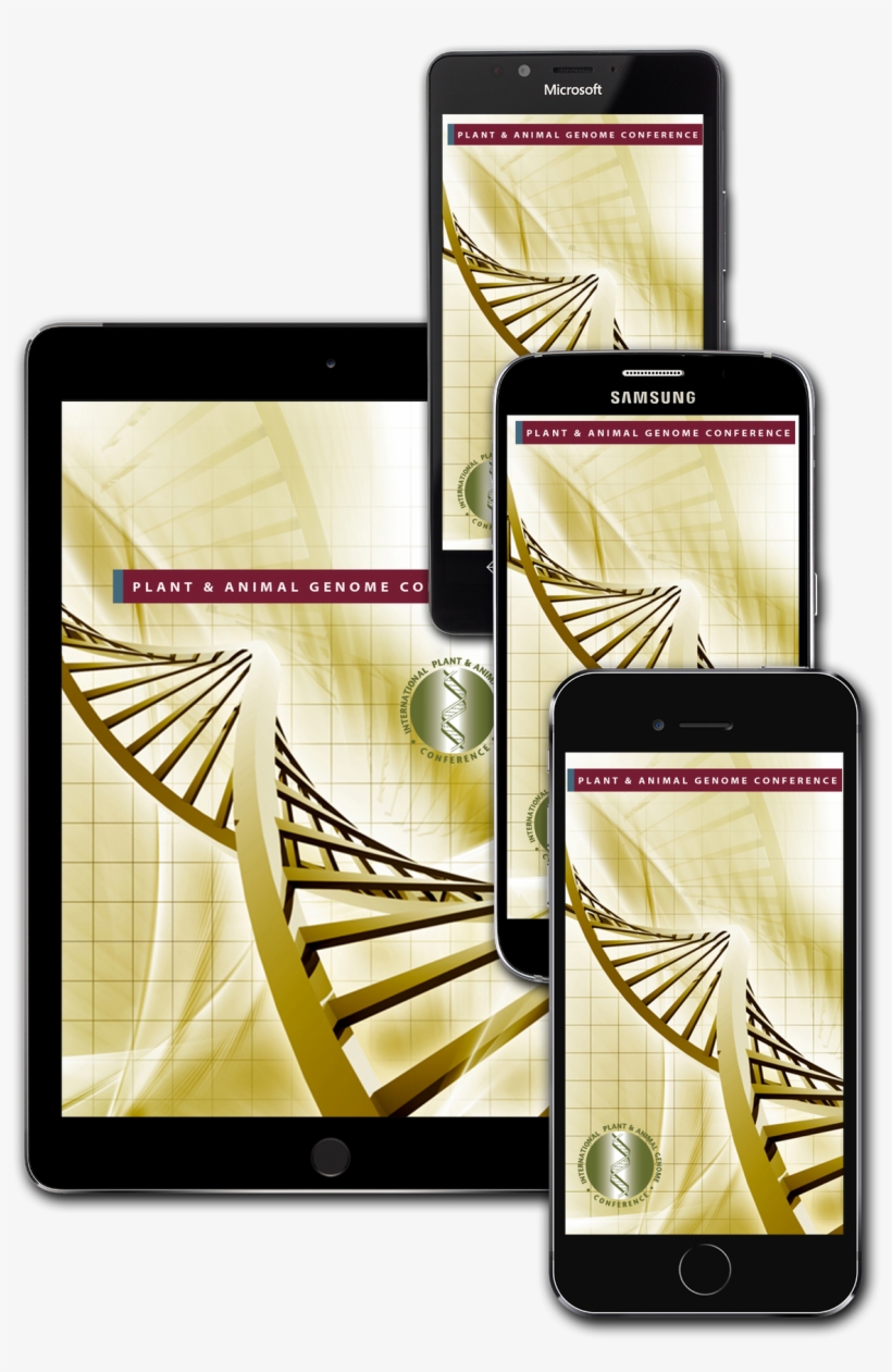 Pag 2018 Quadgraphic - Image Scanner, transparent png download