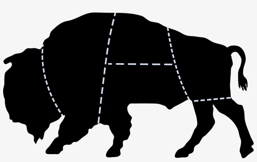 At Cultureshoc, We Strive To Be Buffalo And Help Our - Team, transparent png download