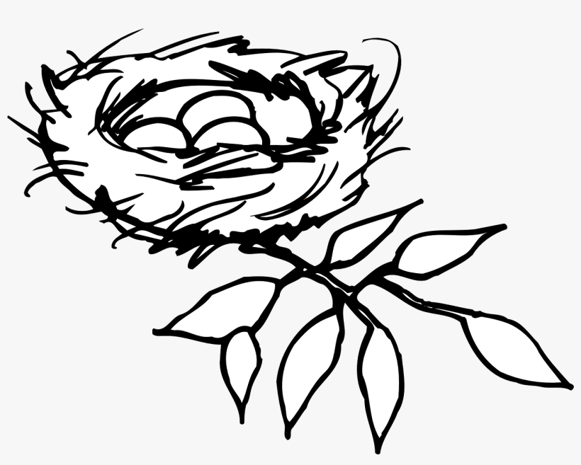 Black And White Nest Clipart 6 By Joseph - Nest Clipart Black And White, transparent png download