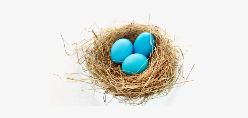 Nest Png Transparent Images - Transparent Background Birds Nest Png, transparent png download