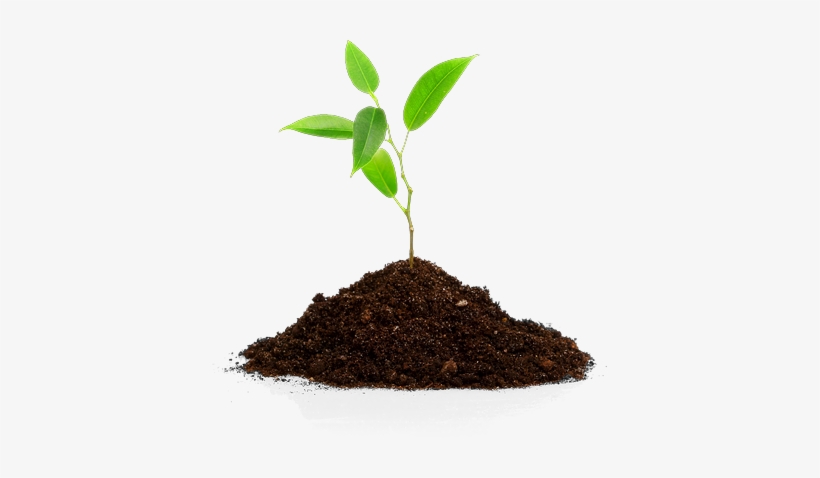 So Neither The One Who Plants Nor The One Who Waters - Soil Transparent Background, transparent png download