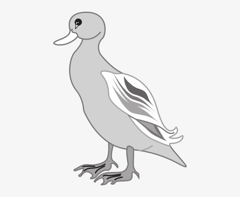 How To Set Use Gray Digital Art Duck Clipart - Gray Duck Clipart, transparent png download
