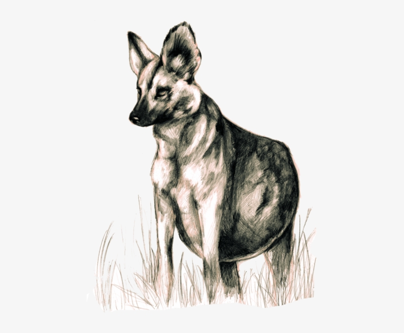 Free Png Wild Dogs Png Images Transparent - Dog, transparent png download