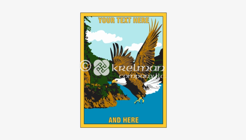 K2206 Bald Eagle In Flight Over Lake - Lake Forest, transparent png download