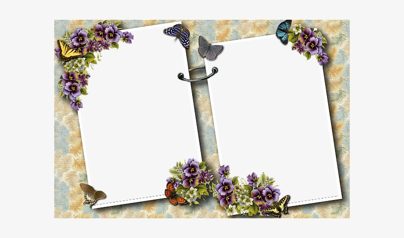 Transparent Photo Frames Png, transparent png download