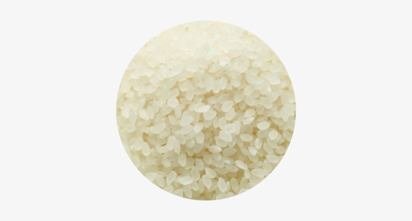 Rice, transparent png download