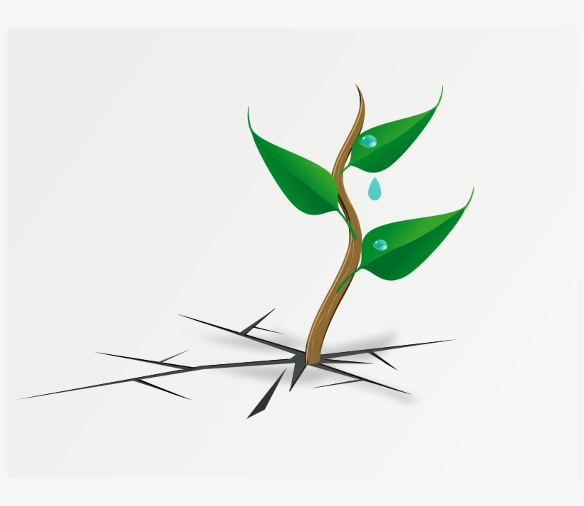 Clip Art, transparent png download