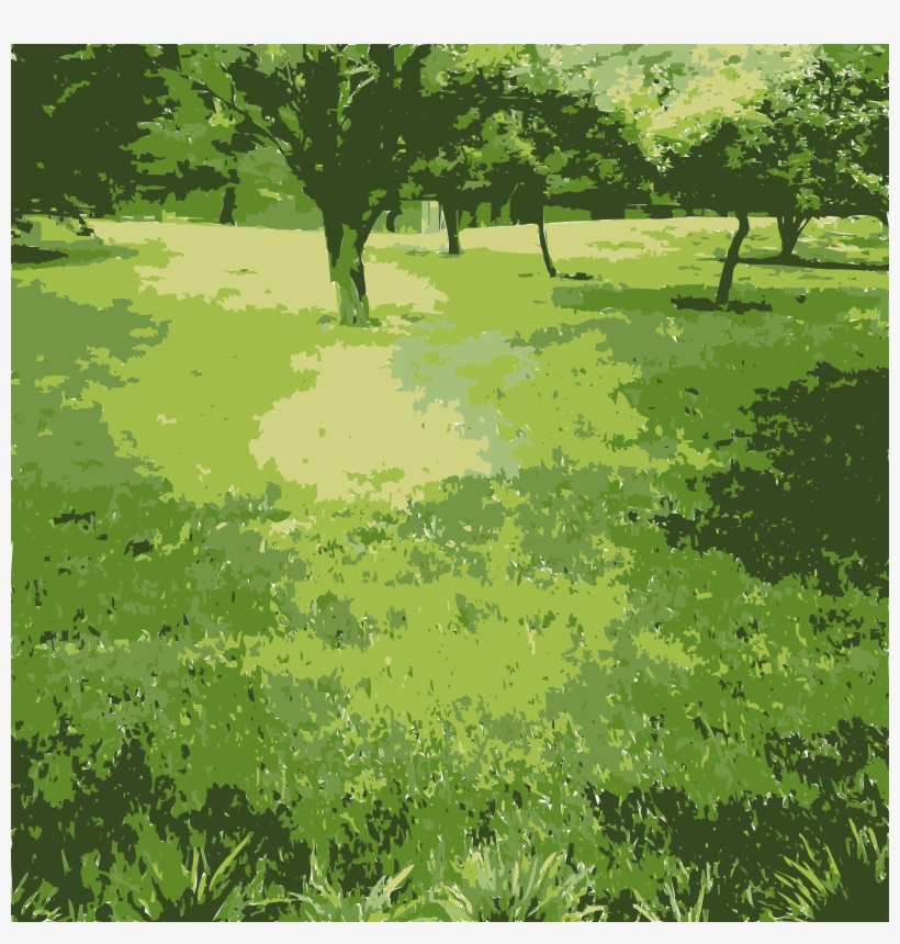 Big Image - Grass, transparent png download