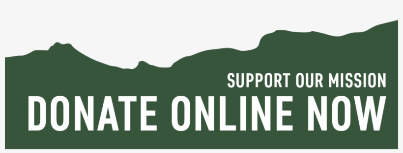 Donate Buttons - Poster, transparent png download