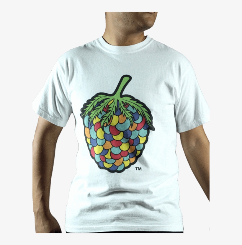 Stoopid Froot Og Berry Tee - Anniversary, transparent png download