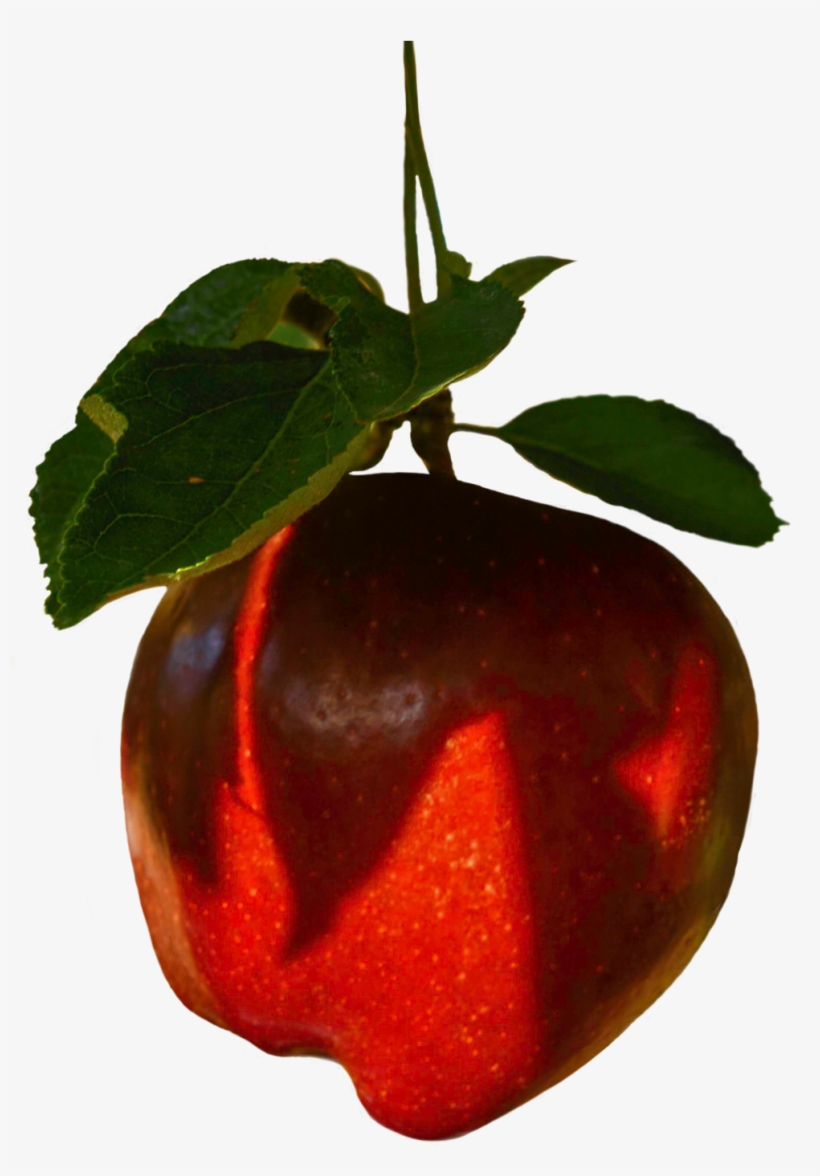 Learn More - Apple, transparent png download