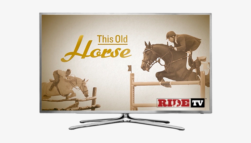 This Old Horse - Horse, transparent png download