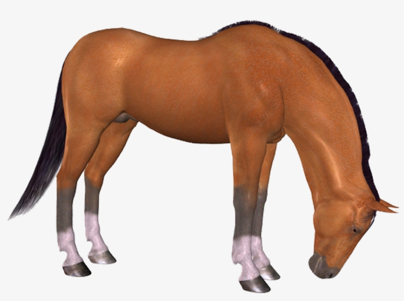 Png Horse, Png At, Png Horse Images, Png At Resimleri, - Photoshop, transparent png download