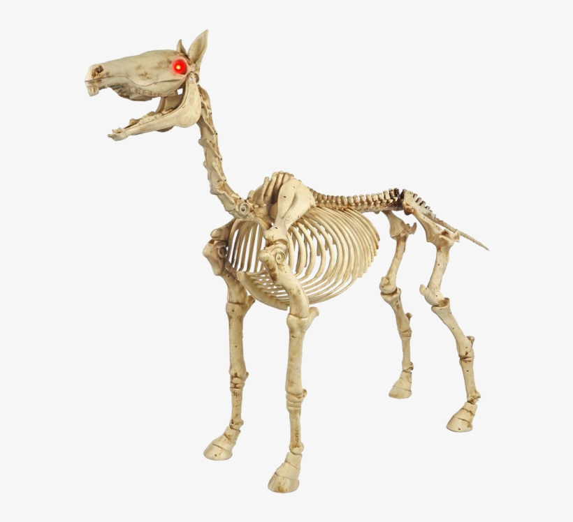 Skeleton Horse - Halloween The T Rex Skeleton, transparent png download