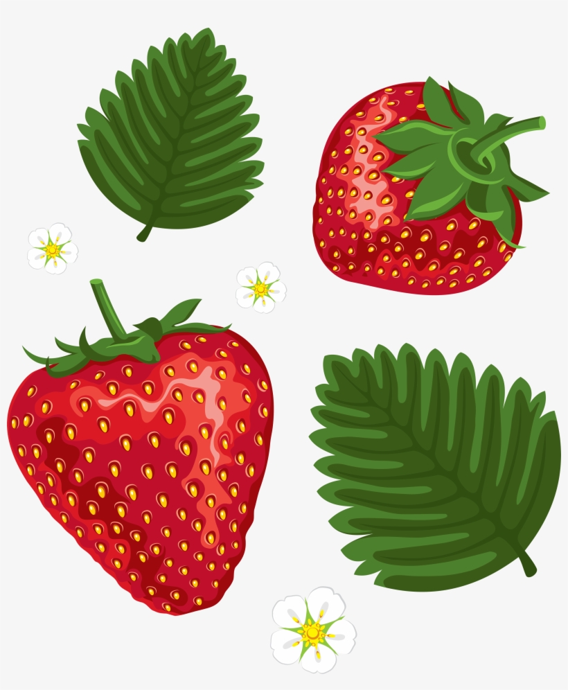 Strawberry Png Image, Picture Download - Color Away Stress: Variety Of Elegant Stained Glass, transparent png download