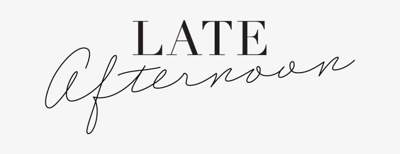 Late Afternoon Blog - Philosophy Of Ang Lee, transparent png download