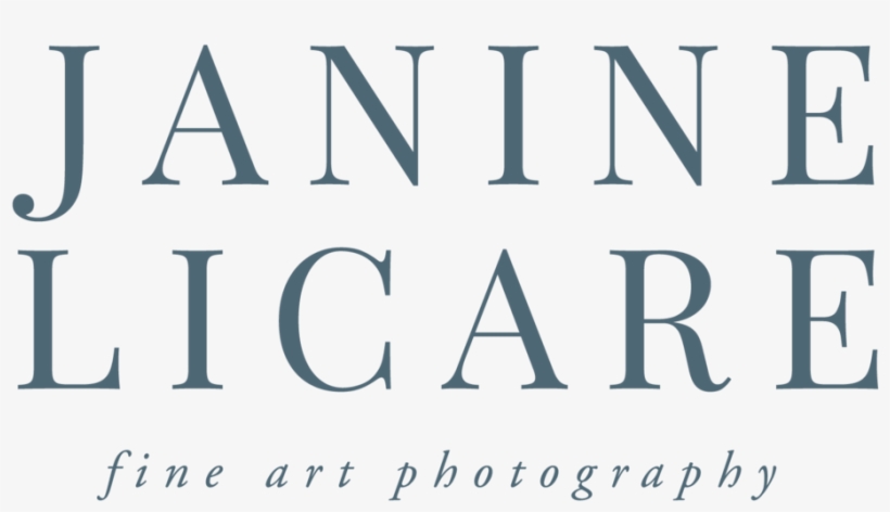 Janine Licare Photography Full Logo 01 - R F Life Changing Skin Care, transparent png download