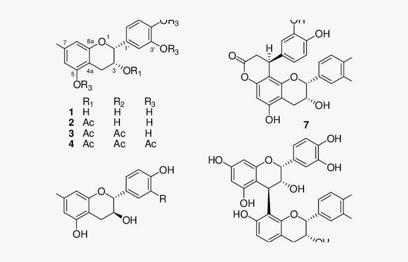 The Chemical Structure Of Compounds 1-8 - Fragmentation, transparent png download