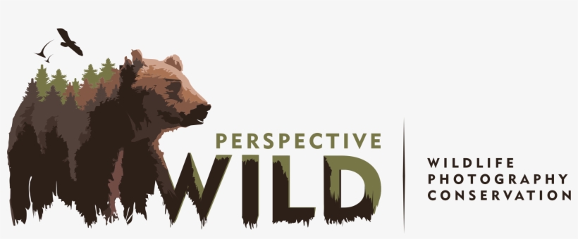 Perspective Wild - Wildlife Photography Logo Png, transparent png download