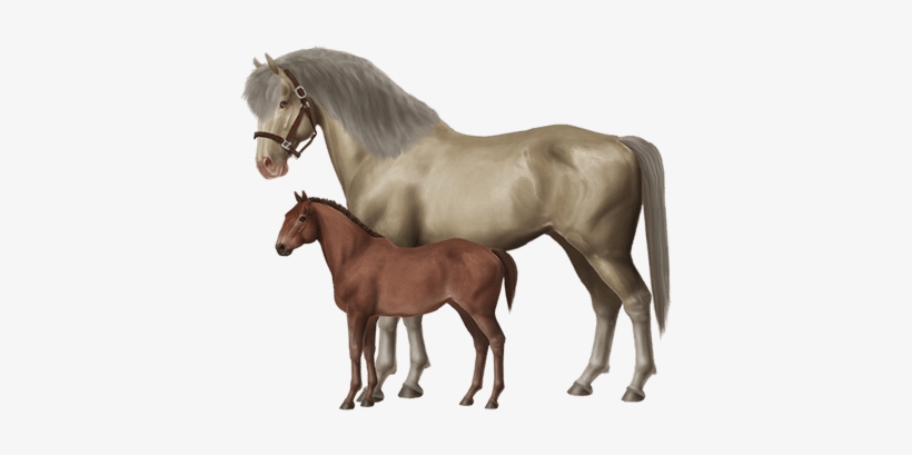 Breed Horses And Create Your Very Own Stable Of Champions - Horse World Online, transparent png download