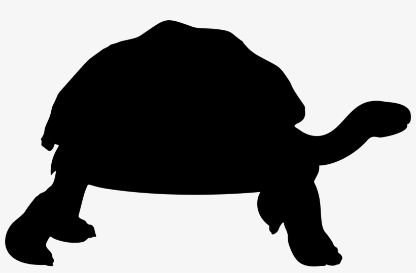 Big Image - Tortoise, transparent png download