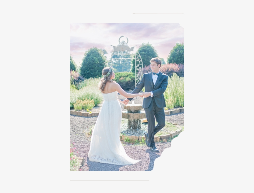 Viewourgalleries, transparent png download