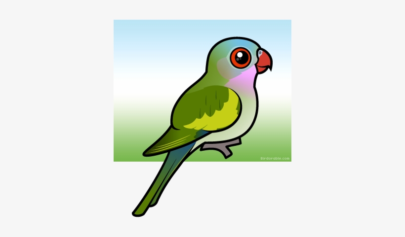 More Products - Cartoon, transparent png download