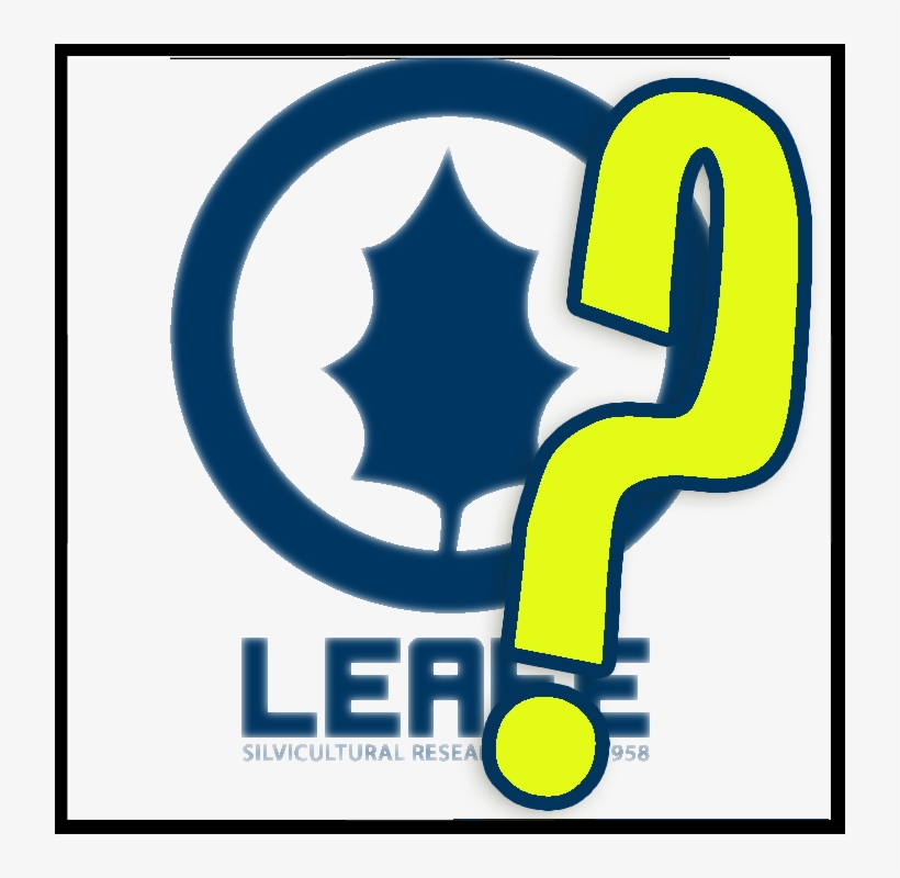 Leafe-logo - Key Frame, transparent png download