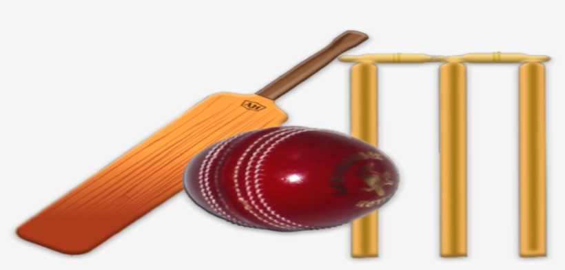 Cricket, transparent png download