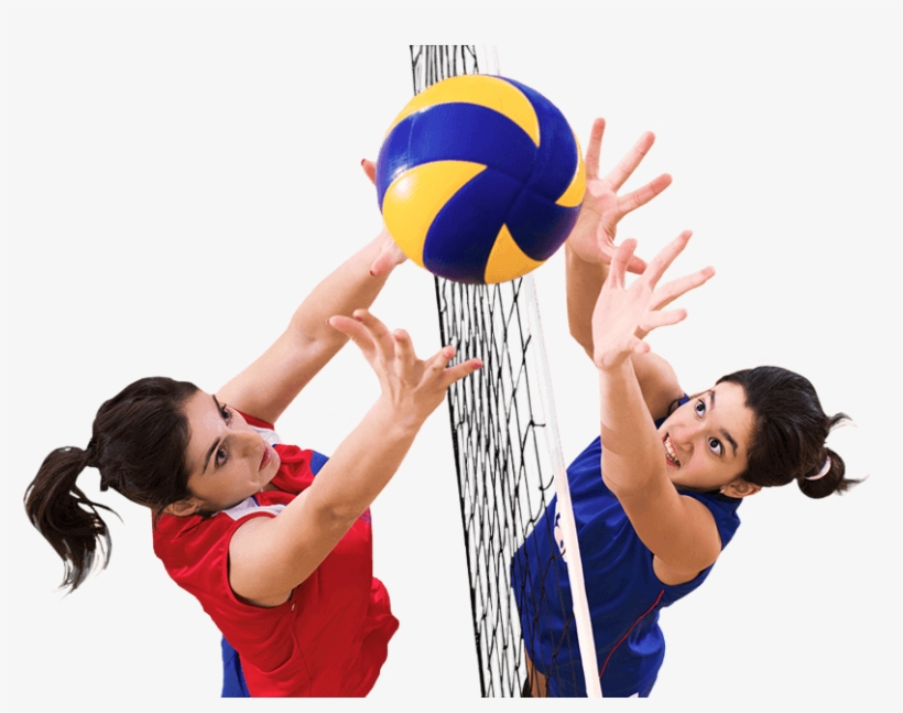 Skip To Content - Edexcel Pe For Gcse Third Edition [book], transparent png download