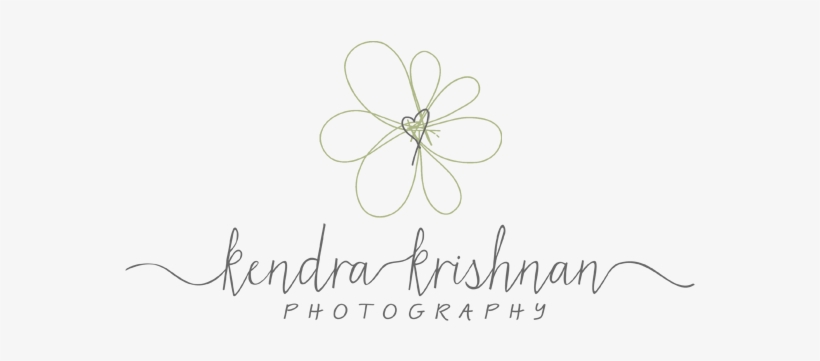 San Diego Family Photographer - Calligraphy, transparent png download