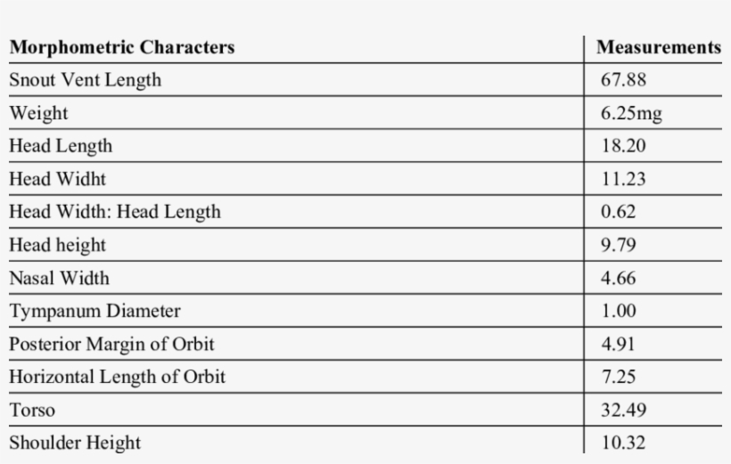Morphometric Measurements Of Calotes Aurantolabium, - Electrical Connector, transparent png download