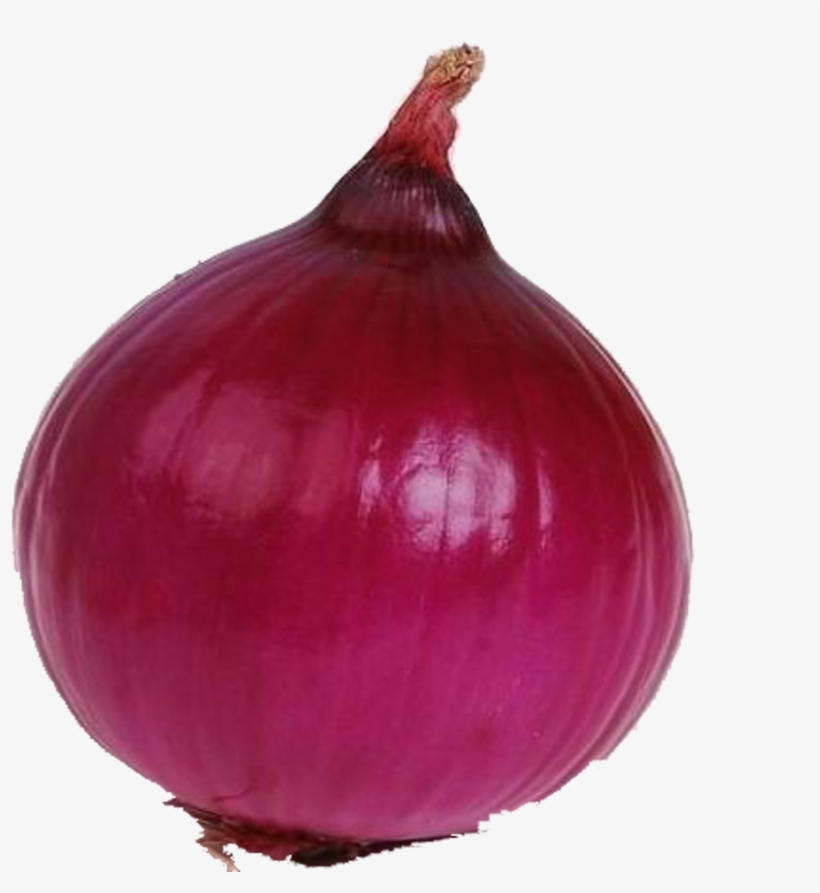 Single Onion Png High-quality Image - Hot Selling 20pcs Onion Seeds Allium Cepa Seeds Bonsai, transparent png download