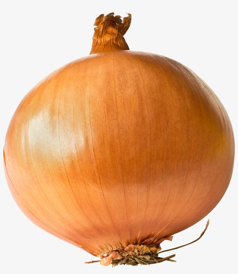 Onion Png Image - Onion Seeds - Utah Yellow Sweet Spanish - Heirloom, transparent png download