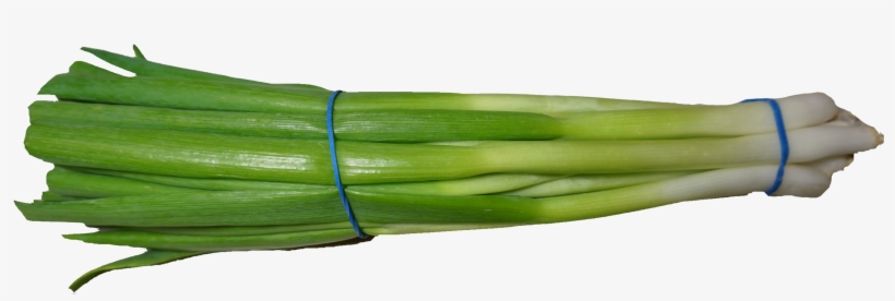 Green Onion Png Transparent, transparent png download