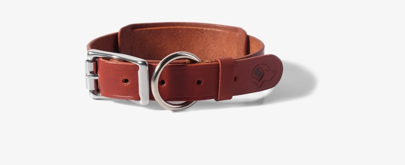 Dog Collar - Chestnut - Dog Collar, transparent png download