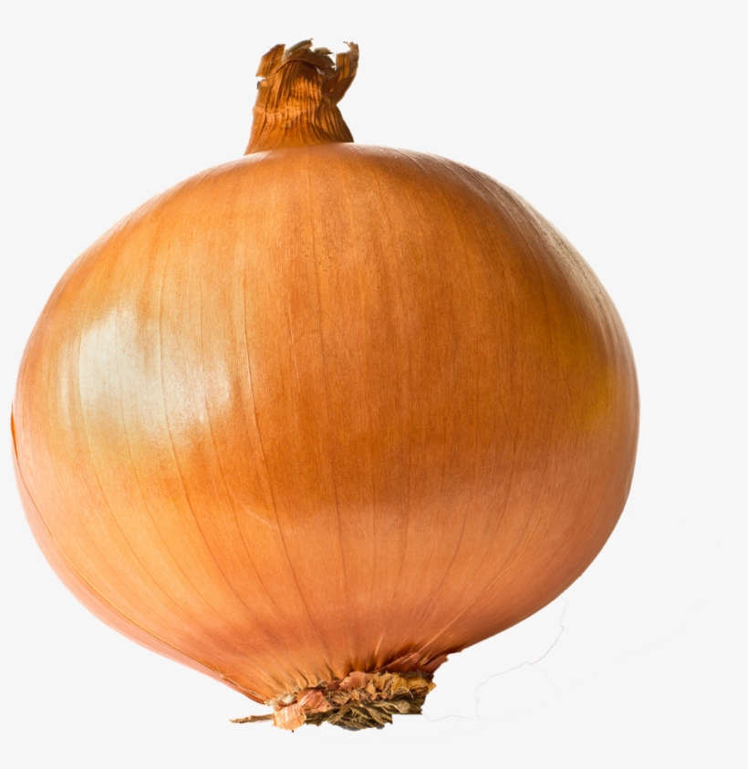 Onion Free Transparent Images - One Onion, transparent png download
